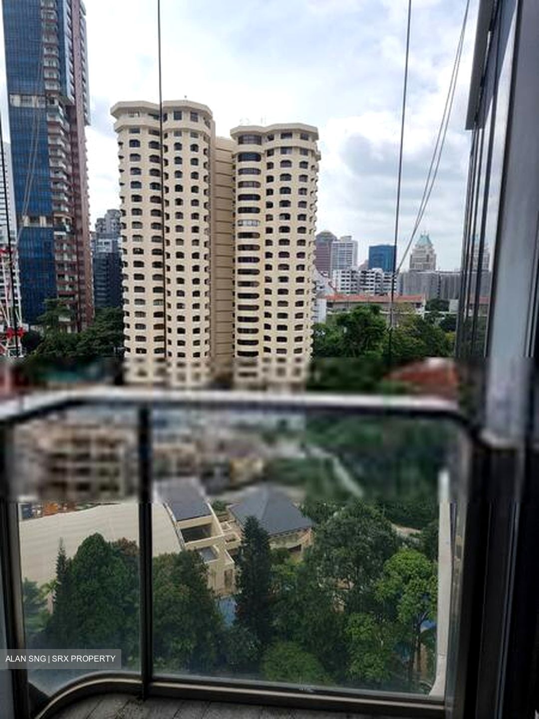 The Scotts Tower (D9), Condominium #408811011